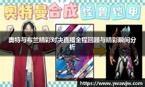 333体育app